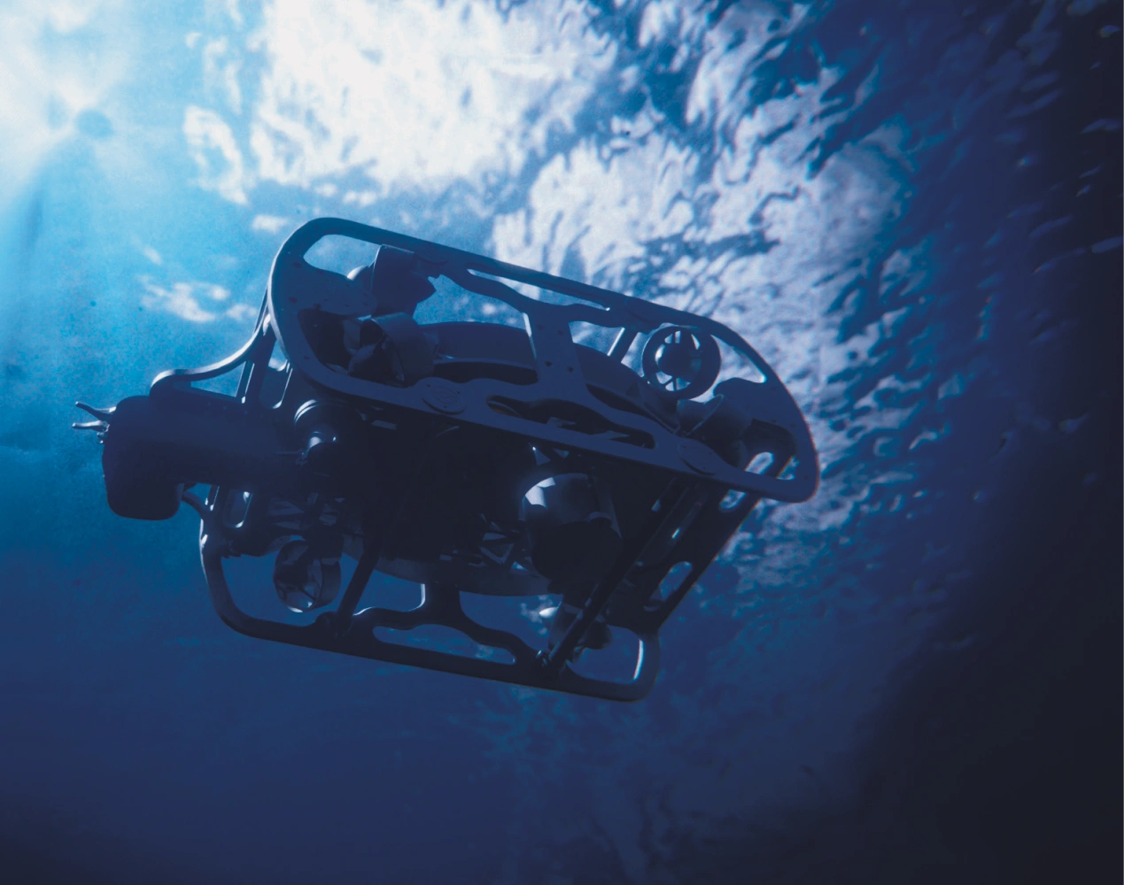 Made in Australia, Making Waves Worldwide: How Our Local Tech Is Powering the Blue Economy