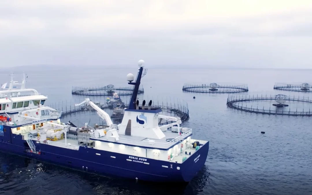 Pressure Cleaning Barges with APAMA ROV for Huon Aquaculture