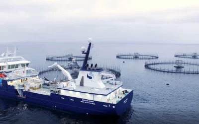 Pressure Cleaning Barges with APAMA ROV for Huon Aquaculture