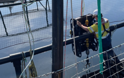 Australian Government Entrepreneur Program funding innovation