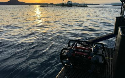 From Tasmania to Tromsø- Apama ROV: Setting a New Benchmark for Sustainable Net Maintenance in Global Aquaculture