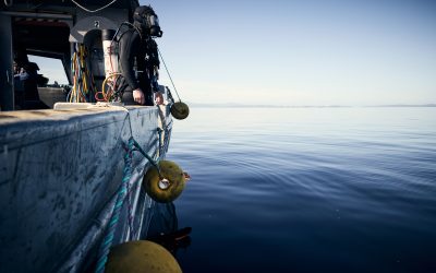 Advancing Subsea Operations: Where ROV Technology Supports Diver-Led Expertise 